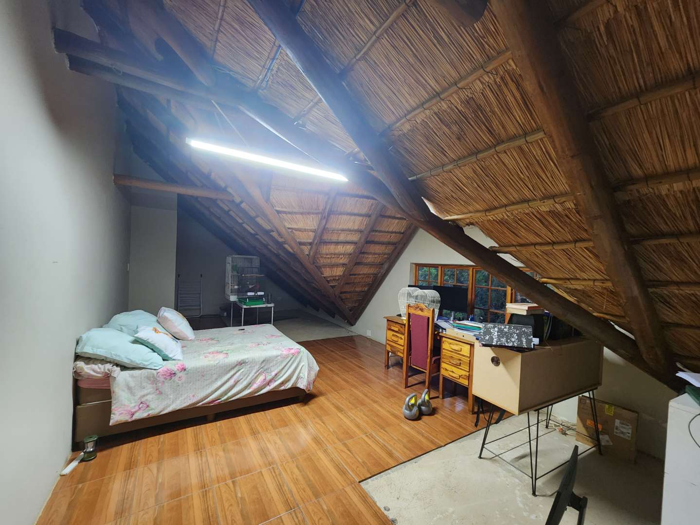 302361590.jpg
