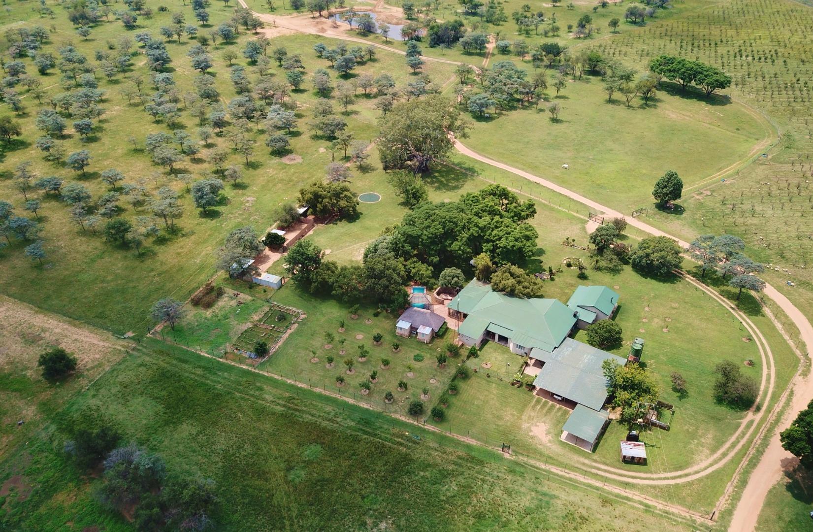 Farm for Sale - Limpopo